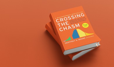 Crossing the Chasm (samenvatting)